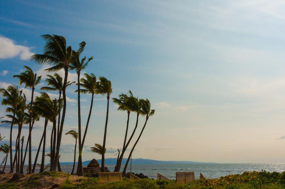 Kohea Kai Maui Hotel Kihei Ngoại thất bức ảnh